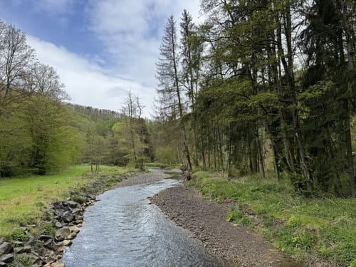 Eifelsteig Etappe 12: Manderscheid - Himmerod
