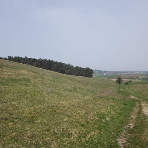 Durch die Zickerschen Alpen