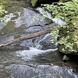 Goforth Creek Trail, Tennessee - 411 Reviews, Map | AllTrails