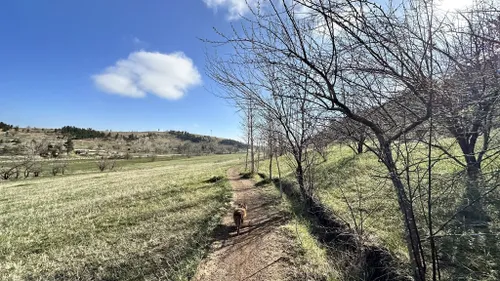 Best Walking Trails in Marshall Mesa Trailhead | AllTrails