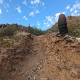 Quartz Ridge Trail (#8A), Arizona - 2,129 Reviews, Map | AllTrails