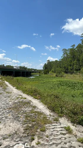 Best Forest Trails in Shingle Creek Regional Park | AllTrails