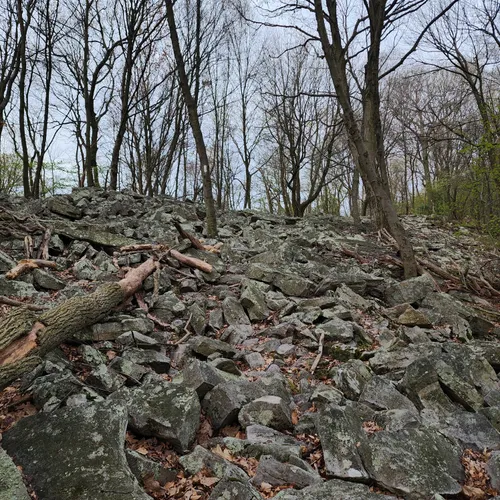 Best Camping Trails in Jonestown AllTrails