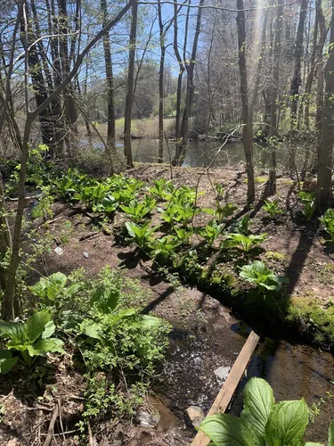 Historic Paths: 5 Beautiful Hiking Trails in Meriden – Connecticut