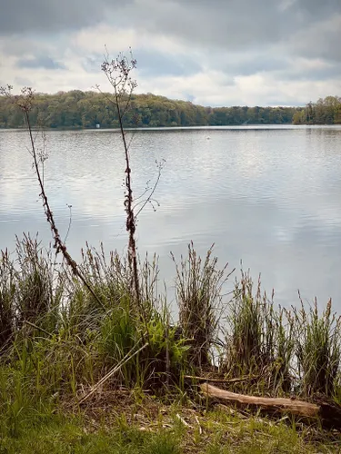 Best Long Trails in Naturschutzgebiet Sacrower See und Königswald ...