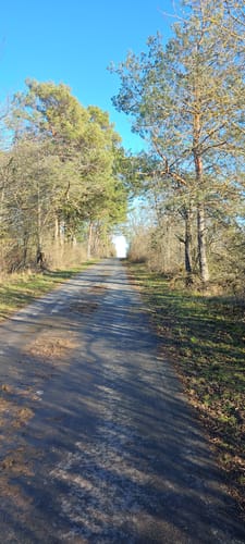 IVV-Wandertag Renningen 2014