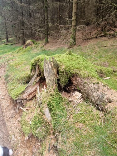 Jagdhaus Rundweg J4 Margaretenstein