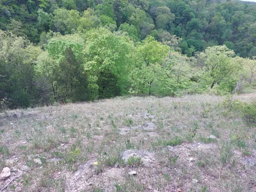 Best Historic Site Trails in Camdenton | AllTrails