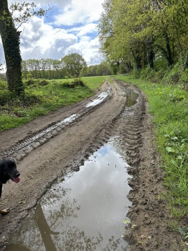 Rundweg bei Barkenberg