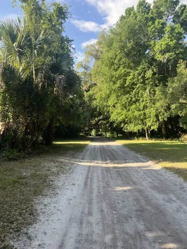 Best Lake Trails in Ocklawaha | AllTrails