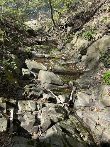 Best River Trails in Tyler State - EyJidWNrZXQiOiJhc3NldHMuYWxsdHJhaWxzLmNvbSIsImtleSI6InVwbG9hZHMvcGhvdG8vaW1hZ2UvNzM1NjU3NjYvNDY1YjI3OTc5ZTRkM2IxYzYxZWI2MzBjZDY3ZGU4ZmEuanBnIiwiZWRpdHMiOnsidG9Gb3JtYXQiOiJ3ZWJwIiwicmVzaXplIjp7IndpZHRoIjo1MDAsImhlaWdodCI6NTAwLCJmaXQiOiJpbnNpZGUifSwicm90YXRlIjpudWxsLCJqcGVnIjp7InRyZWxsaXNRdWFudGlzYXRpb24iOnRydWUsIm92ZXJzaG9vdERlcmluZ2luZyI6dHJ1ZSwib3B0aW1pc2VTY2FucyI6dHJ1ZSwicXVhbnRpc2F0aW9uVGFibGUiOjN9fX0=