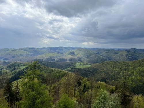 Route des châteaux forts et des forêts