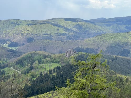 Route des châteaux forts et des forêts