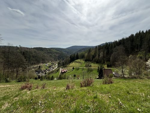 Schönmünzach und Schurmsee