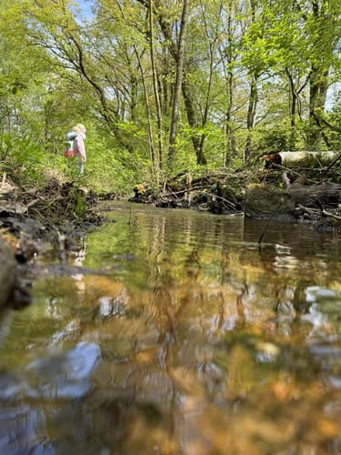 Wahner-Heide: Geisterbusch Tour