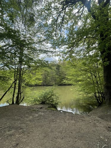 Königsforst Rundweg