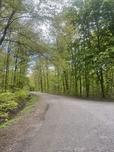 Königsforst Rundweg