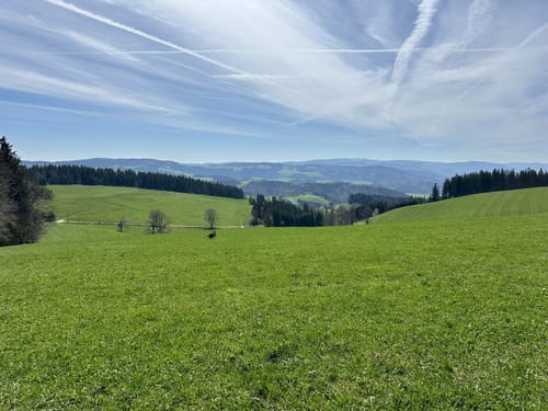 Sankt Märgen zu den Zweribach-Wasserfällen