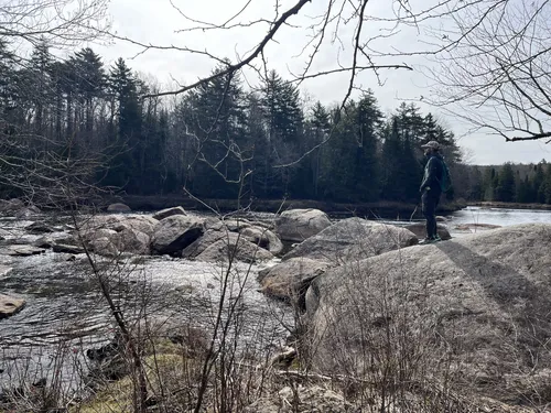 Best Fishing Trails in Otter Lake | AllTrails