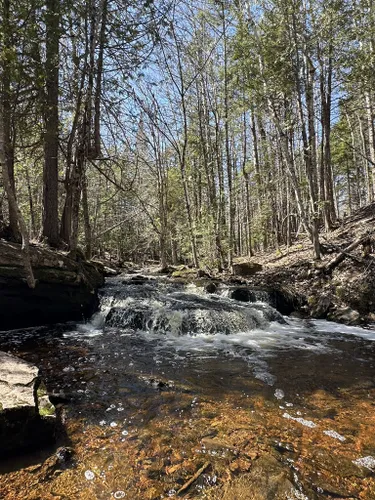 Best Waterfall Trails In Fredericton 