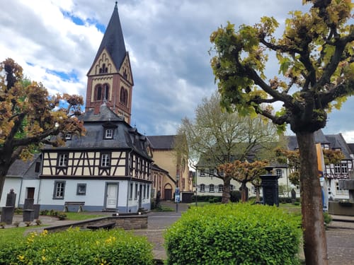 RheinBurgenWeg Etappe 4: Andernach - Bassenheim