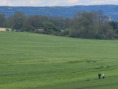 RheinBurgenWeg Etappe 4: Andernach - Bassenheim