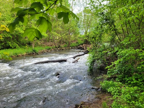 RheinBurgenWeg Etappe 4: Andernach - Bassenheim