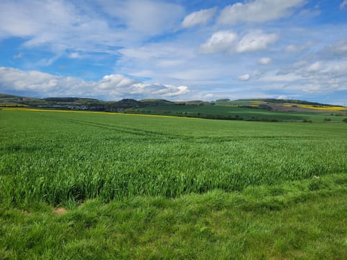 RheinBurgenWeg Etappe 4: Andernach - Bassenheim