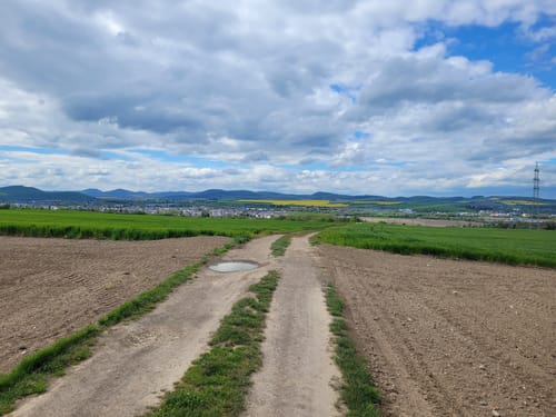 RheinBurgenWeg Etappe 4: Andernach - Bassenheim