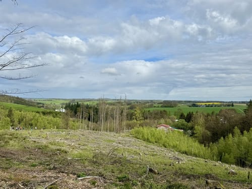 Bergische 50 2023 - 50km