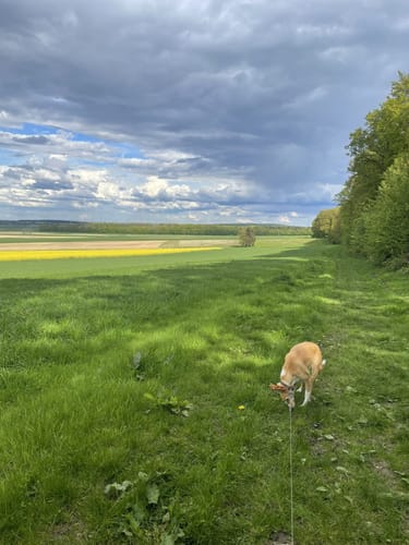 Vorholz Rundweg