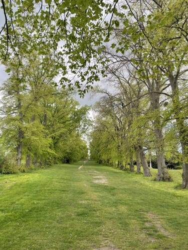 Vorholz Rundweg