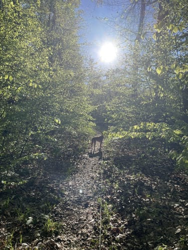 Vorholz Rundweg