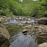 River Trail Loop, Virginia - 2,096 Reviews, Map | AllTrails