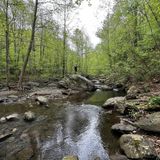 Moormans River and Appalachian Trail Loop, Virginia - 230 Reviews, Map ...