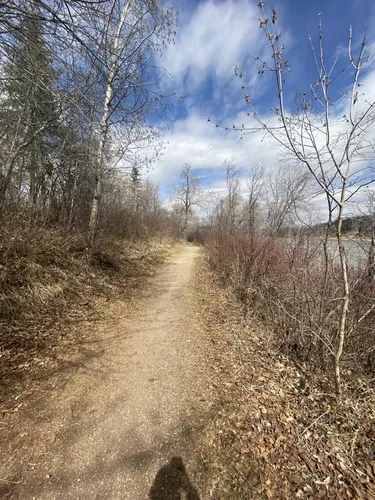 Best Hikes and Trails in Sherwood Park Natural Area | AllTrails