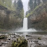 Abiqua Falls Trail, Oregon - 1,938 Reviews, Map | AllTrails