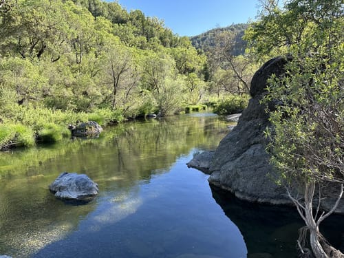 10 Best hikes and trails in Henry W. Coe State Park AllTrails