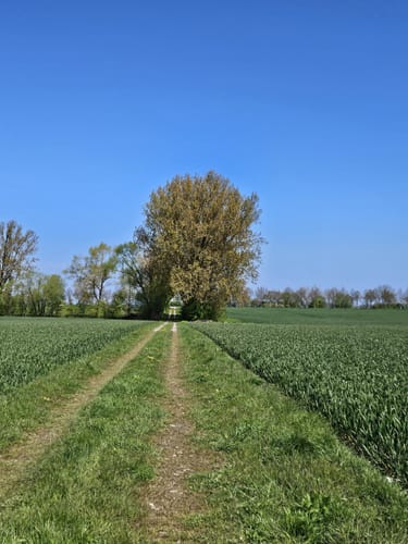 Großes Naturshutzgebiet Eldena Schleife