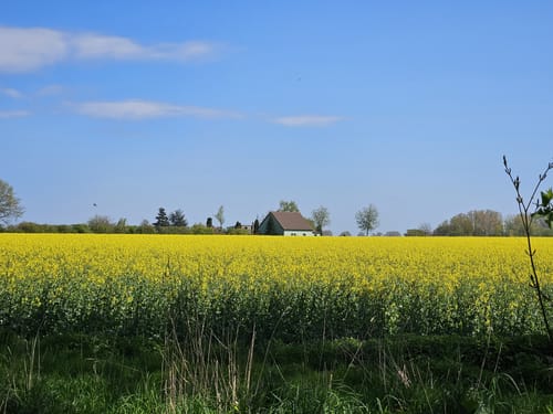 Großes Naturshutzgebiet Eldena Schleife