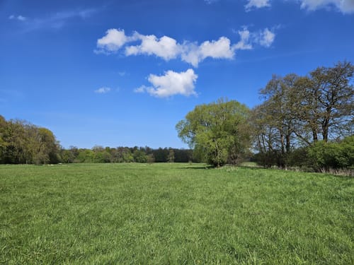 Großes Naturshutzgebiet Eldena Schleife