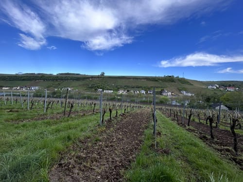 Rundwanderung Wehr-Mosel