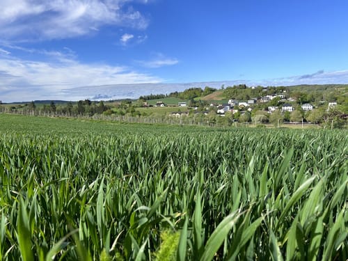Rundwanderung Wehr-Mosel