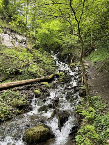 Laubachtal Rundwanderung
