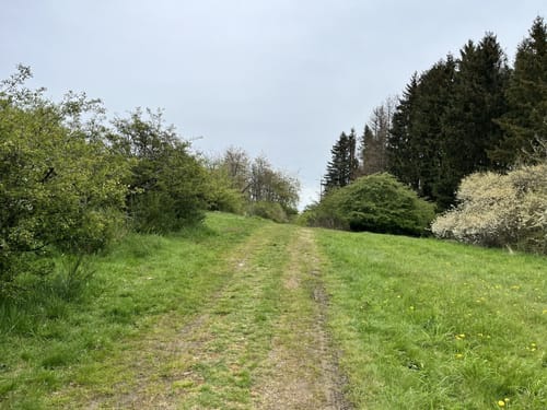 Hirzenhainer Höhenflug (Extratour)