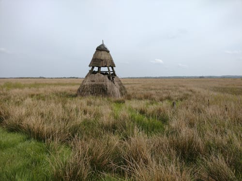 Wildes Moor bei Schwabstedt