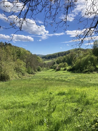 Von Reichelsheim zum Hofgut Rodenstein