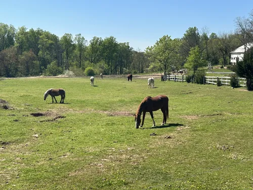 Best Wheelchair Friendly Trails - EyJidWNrZXQiOiJhc3NldHMuYWxsdHJhaWxzLmNvbSIsImtleSI6InVwbG9hZHMvcGhvdG8vaW1hZ2UvNzM2NzMyMDIvNDRhYmI3ODljZWJmNWM3MDY5OTNmZDQwMTE3YzllNGEuanBnIiwiZWRpdHMiOnsidG9Gb3JtYXQiOiJ3ZWJwIiwicmVzaXplIjp7IndpZHRoIjo1MDAsImhlaWdodCI6NTAwLCJmaXQiOiJpbnNpZGUifSwicm90YXRlIjpudWxsLCJqcGVnIjp7InRyZWxsaXNRdWFudGlzYXRpb24iOnRydWUsIm92ZXJzaG9vdERlcmluZ2luZyI6dHJ1ZSwib3B0aW1pc2VTY2FucyI6dHJ1ZSwicXVhbnRpc2F0aW9uVGFibGUiOjN9fX0=