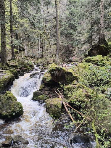 Hinterzarten und Ravennaschlucht