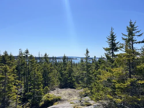 Best Hikes and Trails in Barred Island Preserve | AllTrails